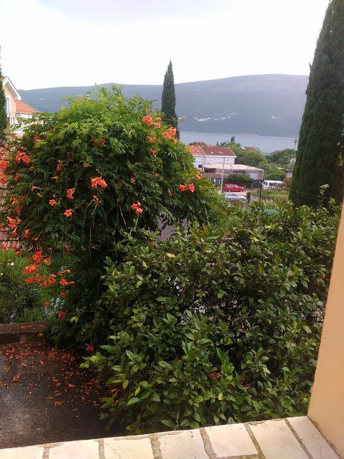Sobe Baosici Marina Hotel Herceg Novi Ngoại thất bức ảnh